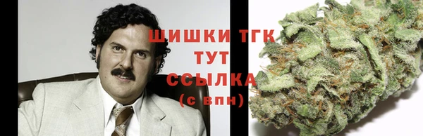 амф Богородск