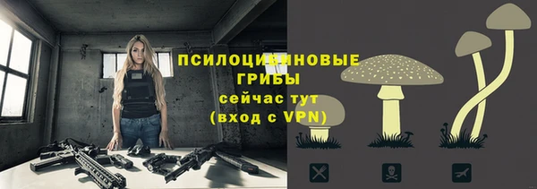 PSILOCYBIN Белокуриха