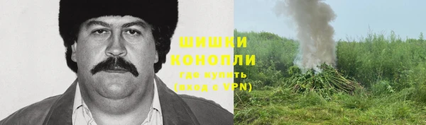 амф Богородск